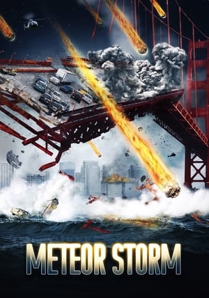 Meteor Storm 2010 Hindi Dual Audio 480p HDTVRip 300MB Movie Poster