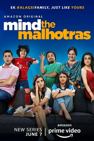 Mind the Malhotras (2019) Season 1 Hindi Web Series HDRip | 720p | 480p [Complete] Movie Poster