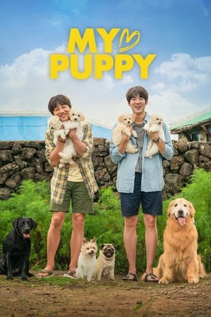 My Heart Puppy (2022) Hindi Dual Audio HDRip 720p – 480p Movie Poster