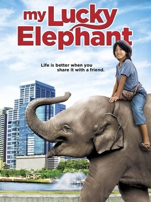 My Lucky Elephant 2013 300MB Dual Audio Hindi 480p WEBRip Download Movie Poster