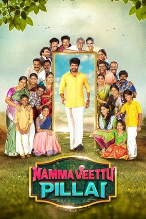 Namma Veettu Pillai (2019) (Hindi – Tamil) Dual Audio 480p UnCut HDRip 450MB Movie Poster