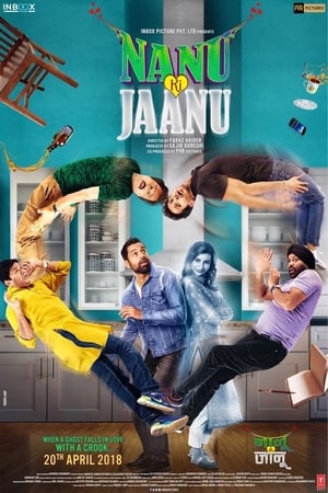 Nanu Ki Jaanu (2018) Movie 720p HDRip x264 [1GB] Movie Poster