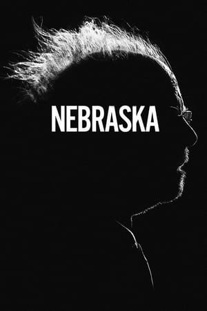 Nebraska 2013 Dual Audio Hindi 480p BluRay 300MB Movie Poster