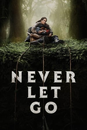 Never Let Go 2024 Hindi Dual Audio HDRip 1080p – 720p – 480p Movie Poster