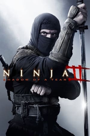 Ninja Shadow of a Tear 2013 Hindi Dual Audio 480p BluRay 300MB Movie Poster