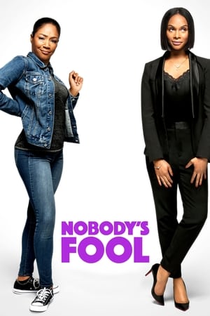 Nobody's Fool (2018) Hindi Dual Audio 480p BluRay 360MB Movie Poster