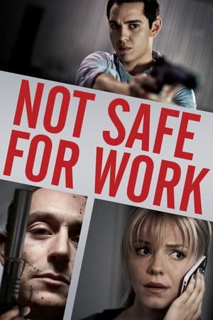 Not Safe for Work 2014 Hindi Dual Audio 480p BluRay 250MB Movie Poster