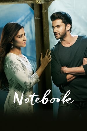 Notebook (2019) Hindi Movie 480p HDRip - [400MB] Movie Poster