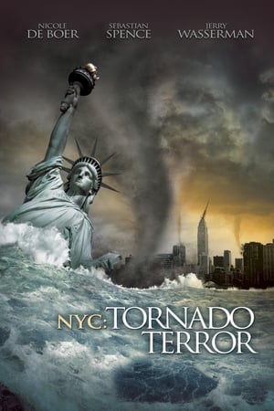 NYC Tornado Terror 2008 Hindi Dual Audio 720p BluRay [1.1GB] Movie Poster