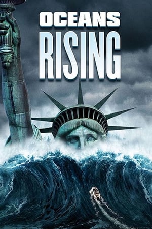 Oceans Rising (2017) Hindi Dual Audio 720p BluRay [800MB] Movie Poster