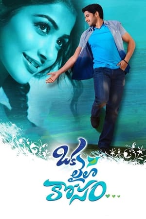 Oka Laila Kosam 2014 (Hindi – Telugu) Dual Audio 720p UnCut HDRip [1.2GB] Movie Poster