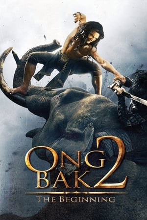 Ong Bak 2 (2008) Hindi Dual Audio 480p BluRay 330MB Movie Poster