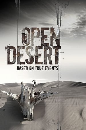 Open Desert (2013) Hindi Dual Audio HDRip 720p – 480p Movie Poster