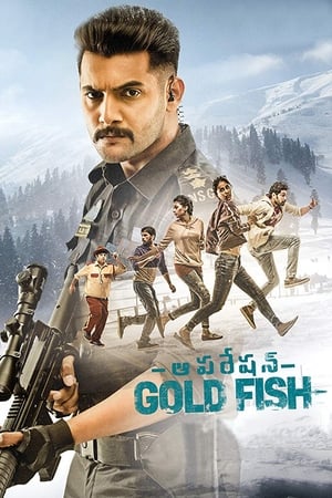 Operation Gold Fish 2019 (Hindi - Telugu) Dual Audio 480p UnCut HDRip 360MB Movie Poster