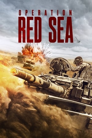 Operation Red Sea (2018) Hindi Dual Audio 480p BluRay 450MB Movie Poster