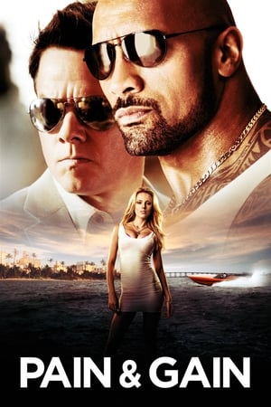 Pain & Gain 2013 400MB Dual Audio Hindi 480p Bluray Download Movie Poster