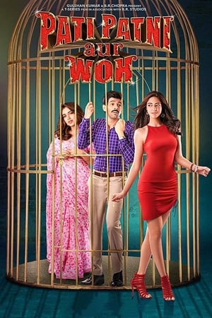 Pati Patni Aur Woh 2019 Hindi Movie 480p HDRip – [350MB] Movie Poster