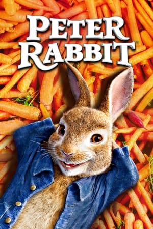 Peter Rabbit (2018) Hindi Dual Audio 720p BluRay [1.1GB] Movie Poster