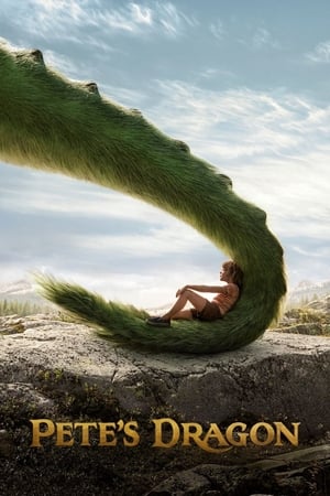 Pete’s Dragon (2016) Hindi Dual Audio 480p BluRay 300MB Movie Poster