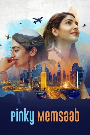 Pinky Memsaab 2018 Urdu Movie 720p HDRip x264 [1GB] Movie Poster