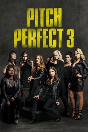 Pitch Perfect 3 2017 Hindi Dual Audio 480p BluRay 300MB Movie Poster