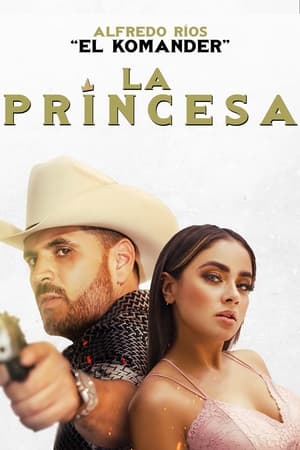 Prince 2022 Hindi (HQ Dubbed) Movie Pre-DVDRip 720p – 480p Movie Poster