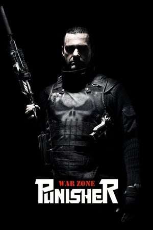 Punisher: War Zone (2008) Hindi Dual Audio 480p BluRay 340MB Movie Poster