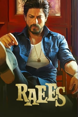 Raees 2017 400MB Full Movie Bluray 480p Movie Poster