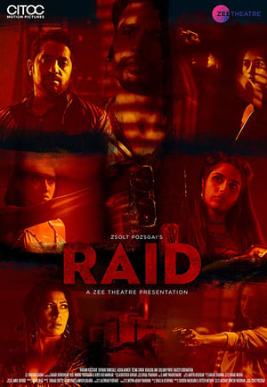 Raid 2019 Hindi Movie 480p HDRip - [250MB] Movie Poster