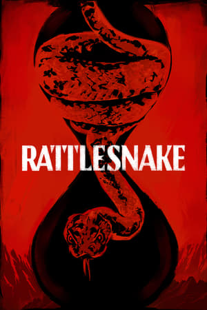 Rattlesnake (2019) Hindi Dual Audio 720p Web-DL [800MB] Movie Poster