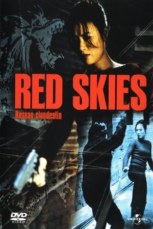 Red Skies 2002 Dual Audio (Hindi) [BluRay] 576p 800MB Movie Poster