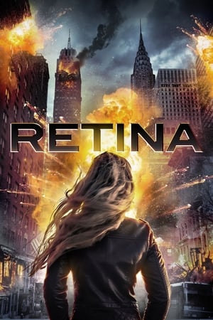 Retina 2017 Hindi Dual Audio 720p WebRip [880MB] Movie Poster