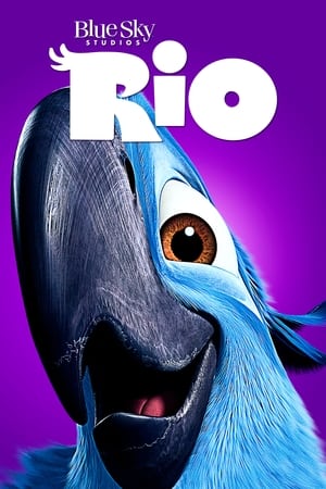 Rio (2011) 100mb Hindi Dual Audio movie Hevc 130MB Movie Poster