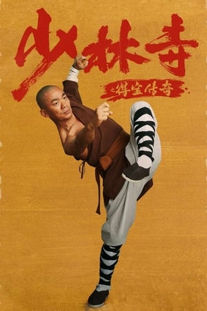 Rising Shaolin: The Protector (2021) Hindi Dual Audio HDRip 720p – 480p Movie Poster