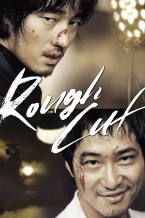 Rough Cut (2008) Hindi Dual Audio 480p BluRay 400MB Movie Poster