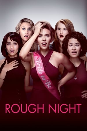 Rough Night (2017) Hindi Dual Audio 720p BluRay [800MB] Movie Poster