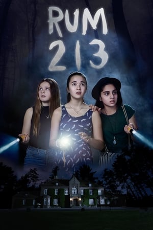 Rum 213 2017 Hindi Dual Audio 480p BluRay 280MB Movie Poster