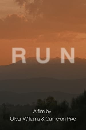 Run (2024) WEBRIP Hindi (MULTI AUDIO) 720p 480p 1080p Movie Poster