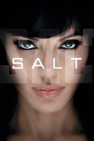 Salt (2010) Hindi Dual Audio 480p BluRay 300MB Movie Poster