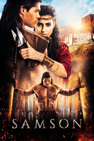 Samson (2018) Hindi Dual Audio HDRip 720p – 480p Movie Poster