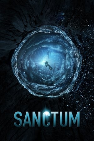 Sanctum (2011) Hindi Dual Audio 480p BluRay 300MB Movie Poster