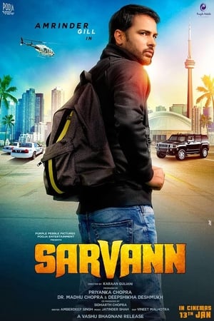 Sarvann (2017) Movie Punjabi PDVDRip [650MB] Download Movie Poster