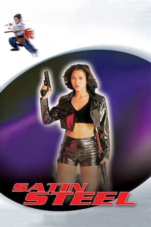 Satin Steel (1994) Hindi Dual Audio 720p Web-DL [700MB] Movie Poster