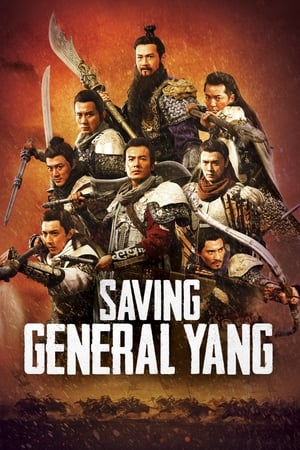 Saving General Yang (2013) Hindi Dual Audio 480p BluRay 350MB Movie Poster