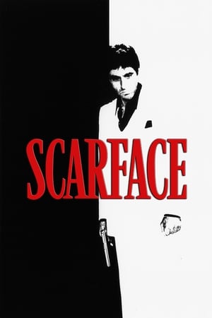 Scarface (1983) Dual Audio Hindi 480p BluRay 500MB Movie Poster