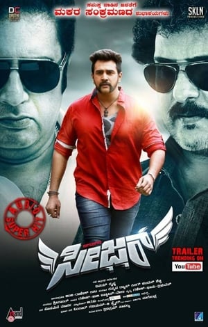 Seizer 2018 Movie Hindi Dubbed 480p HDRip 350MB Movie Poster