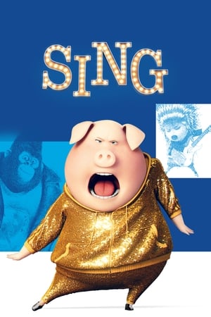 Sing (2016) Hindi Dual Audio 480p BluRay 330MB Movie Poster