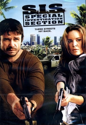 SIS Special Investigation Section 2008 Hindi Dual Audio 720p BluRay [1.1GB] Movie Poster