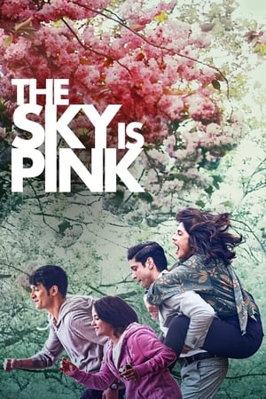 Sky Is Pink (2019) Hindi Movie 480p HDRip – [450MB] Movie Poster