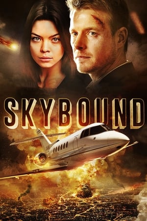 Skybound (2017) Hindi Dual Audio 720p BluRay [1.2GB] Movie Poster